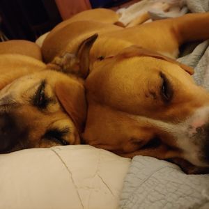 Meet your Posher, Christine